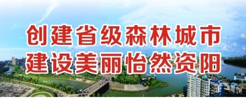 啊啊射视频在线观看羞羞视频创建省级森林城市 建设美丽怡然资阳