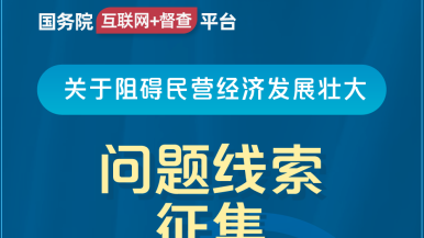 内射逼逼国务院“互联网+督查”平台公开征集阻碍民营经济发展壮大问题线索